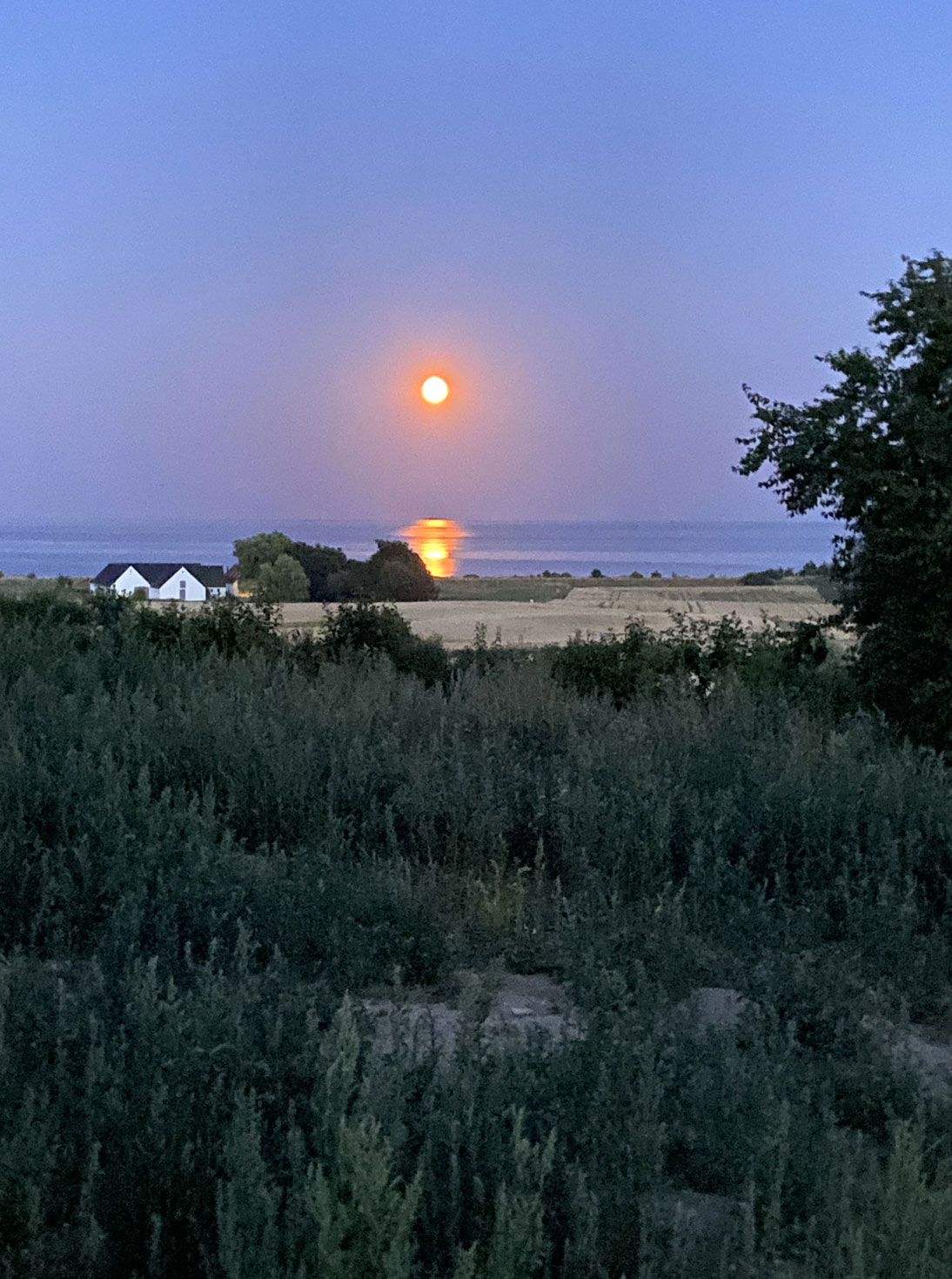 Holme Zen i Holme Ebeltoft, Akupunktur & kinesisk medicin ved Lars Schuster, kropsorienteret psykoterapi ved Ane Albrektsen, efteruddannelser & kurser samt udlejning af lokaler.