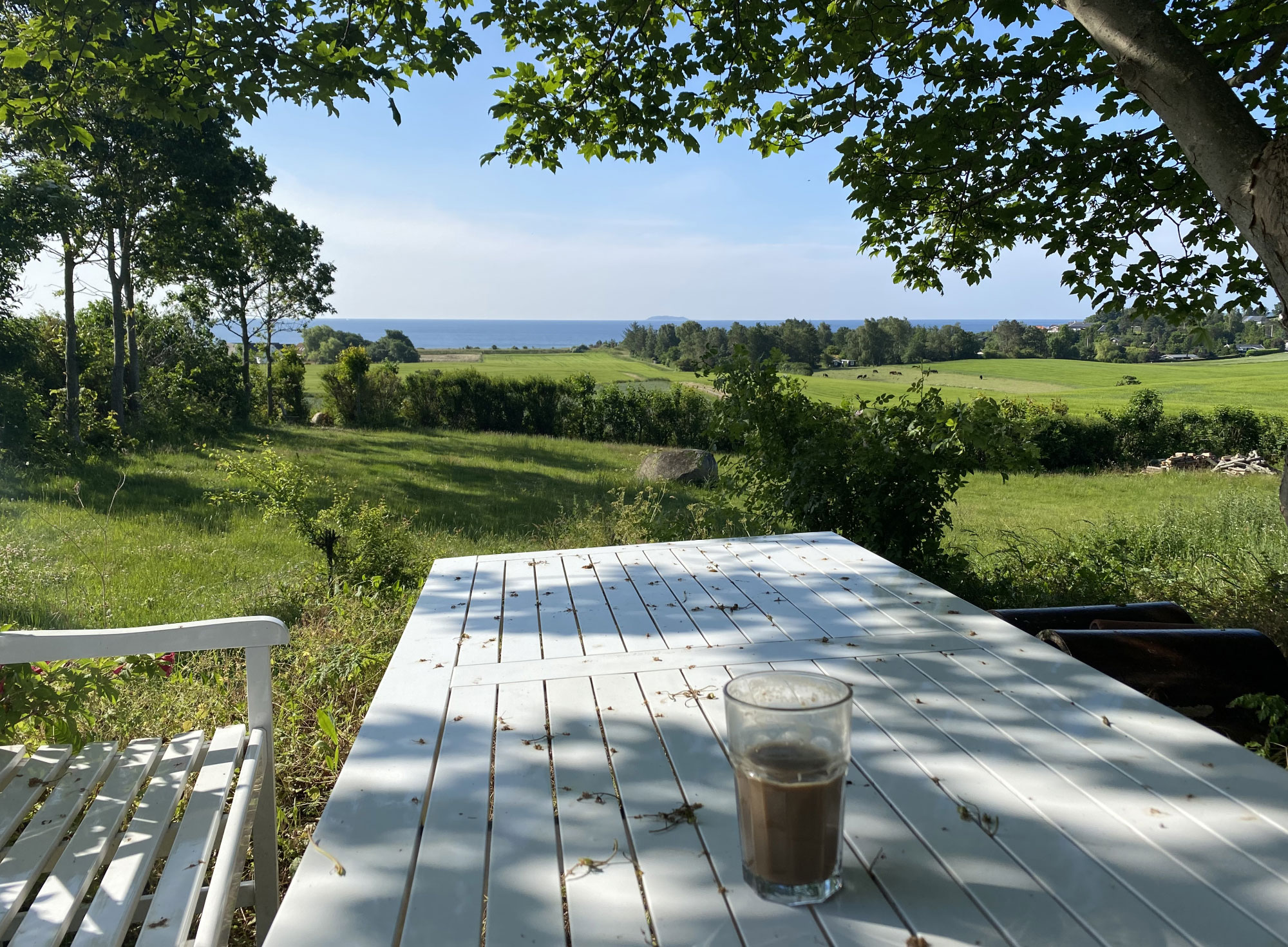 Holme Zen i Holme Ebeltoft, Akupunktur & kinesisk medicin ved Lars Schuster, kropsorienteret psykoterapi ved Ane Albrektsen, efteruddannelser & kurser samt udlejning af lokaler.